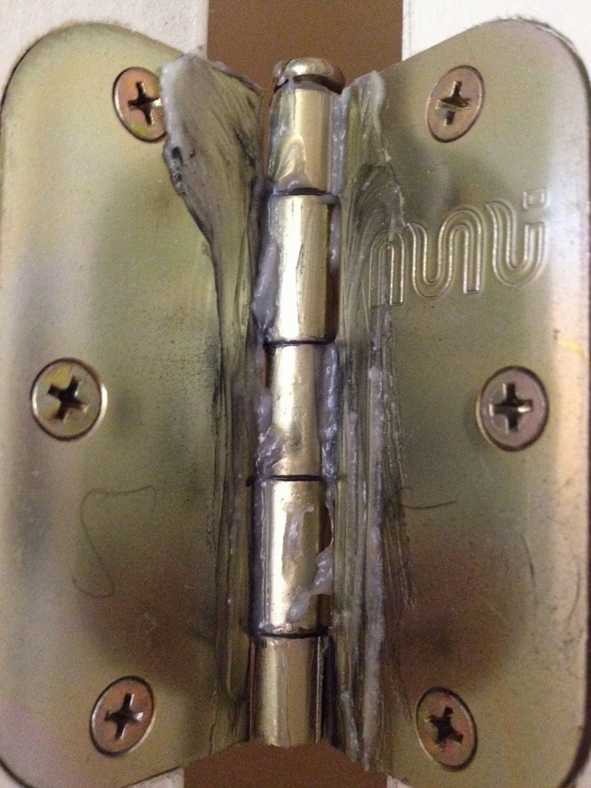 The DIY Guinea Pig No More Squeaky Hinges