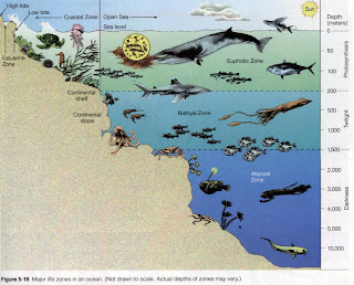 download entangling migration history borderlands