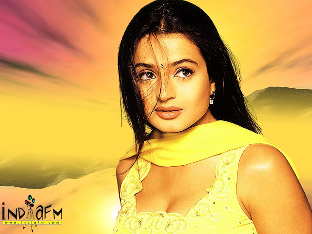 Amisha Patel hd wallpapers