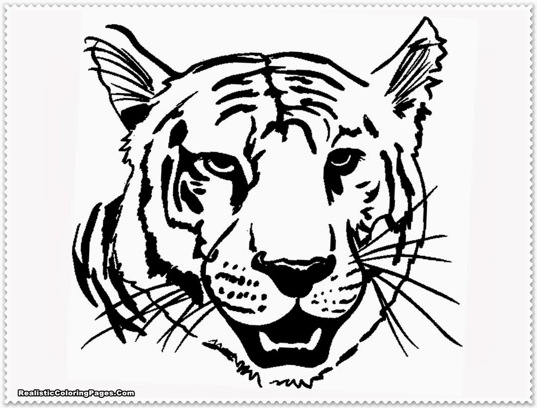 Advanced Tiger Coloring Pages : Realistic tiger coloring pages Advanced Tiger Coloring Pages : Realistic tiger coloring pages