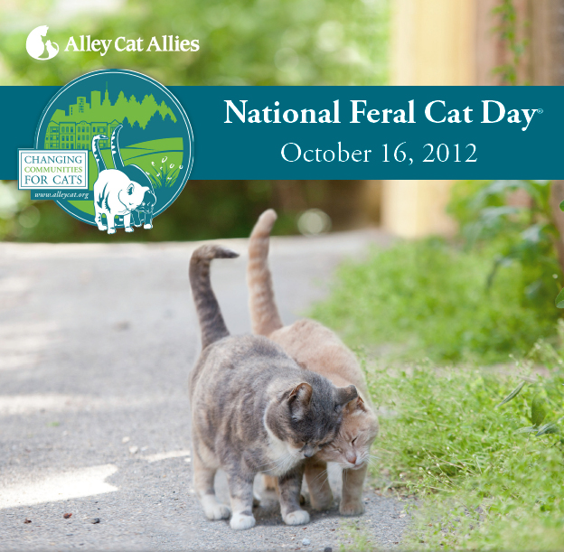 Celestial Kitties National Feral Cat Day
