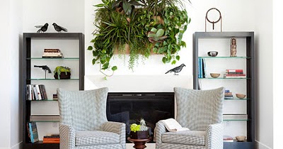 Decora el hogar: Jardines Verticales para tu casa