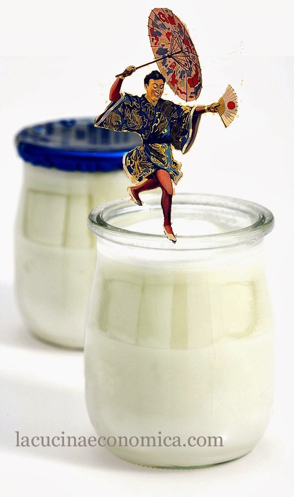 come fare lo yogurt