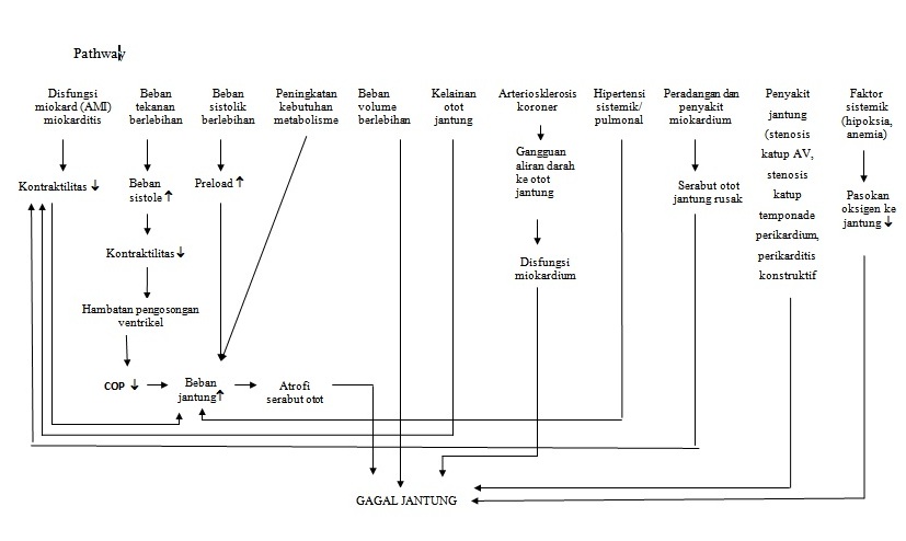 Sop Asuhan Keperawatan Sop Asuhan Keperawatan