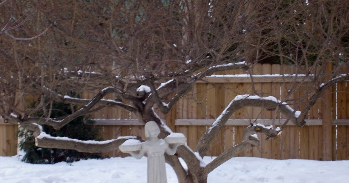 Talking to Plants: Decorating Your Garden with Garden Art