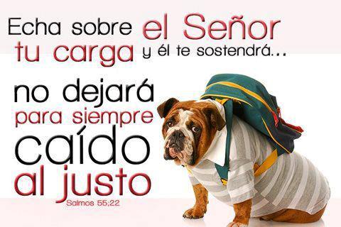 BlessBox Family Juegos Cristianos Para PC: 4to Pack de imagenes ... BlessBox Family Juegos Cristianos Para PC: 4to Pack de imagenes ...