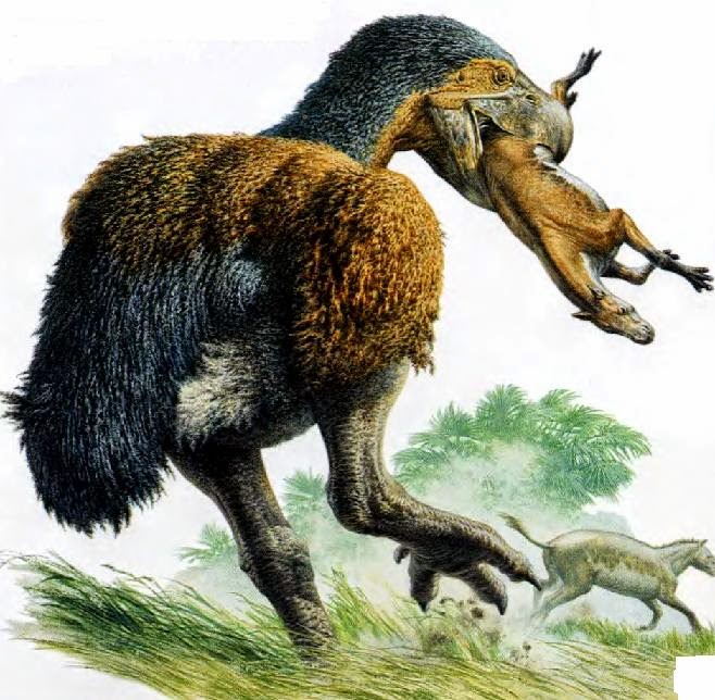 [Image: diatrima.jpg]