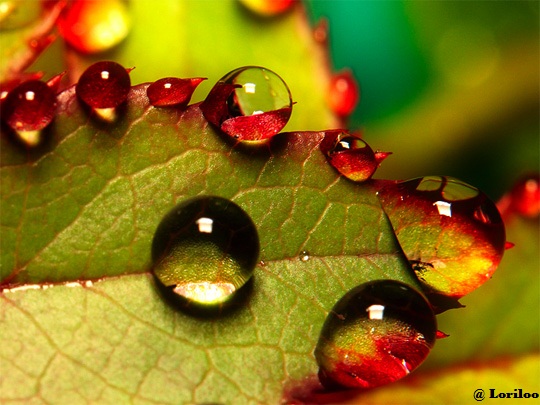 photography proximity