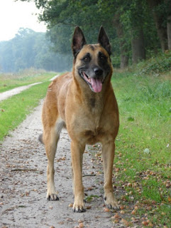 DSC01223.JPG.opt429x571o0%252C0s429x571%