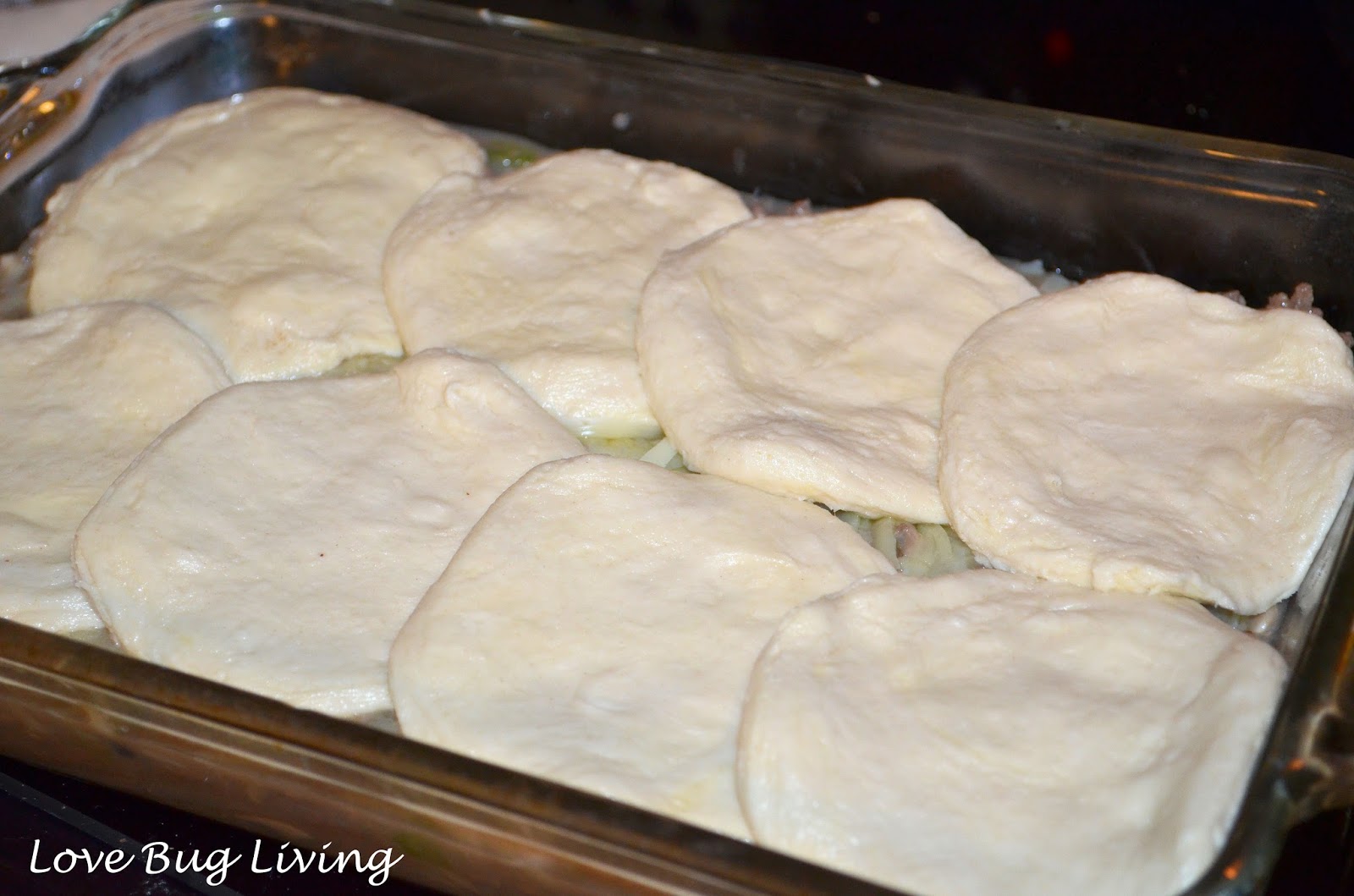 Love Bug Living Beef, Mushroom & Biscuit Casserole