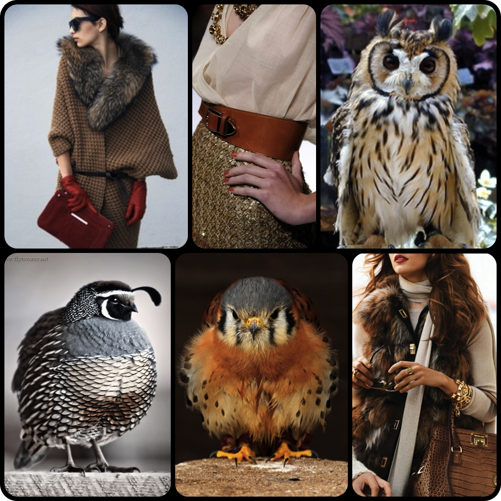 Eternel Voyageur Getting Inspired by Birds