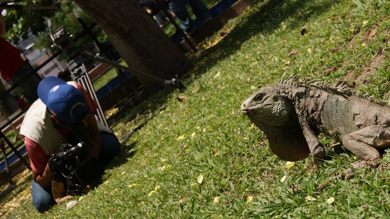 Parque de las iguanas, La Dorada, Caldas