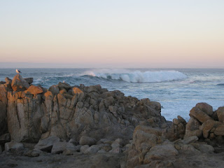 Sky turns pink as dusk approaches along the rocky coast, Pacific Grove, California