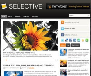 Selective Blogger Template