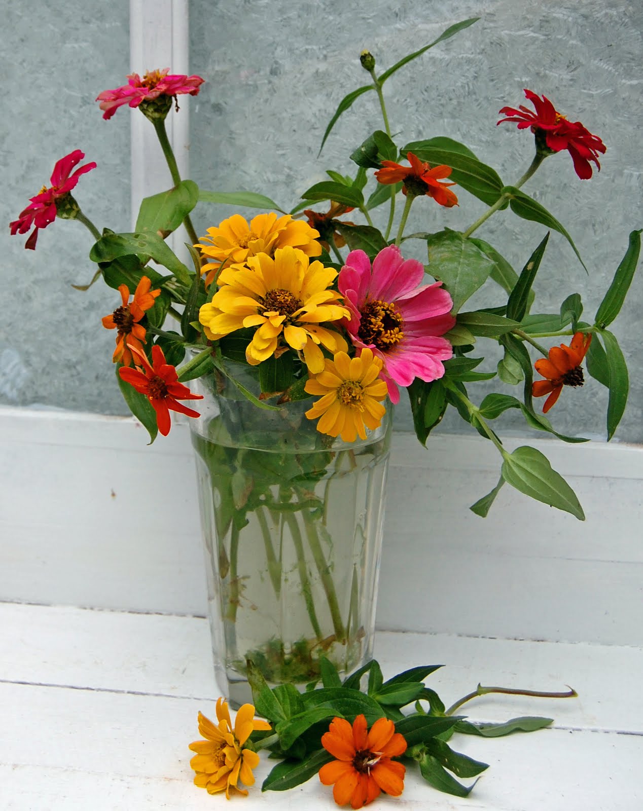 My Painted Garden Painting the last of the Zinnias