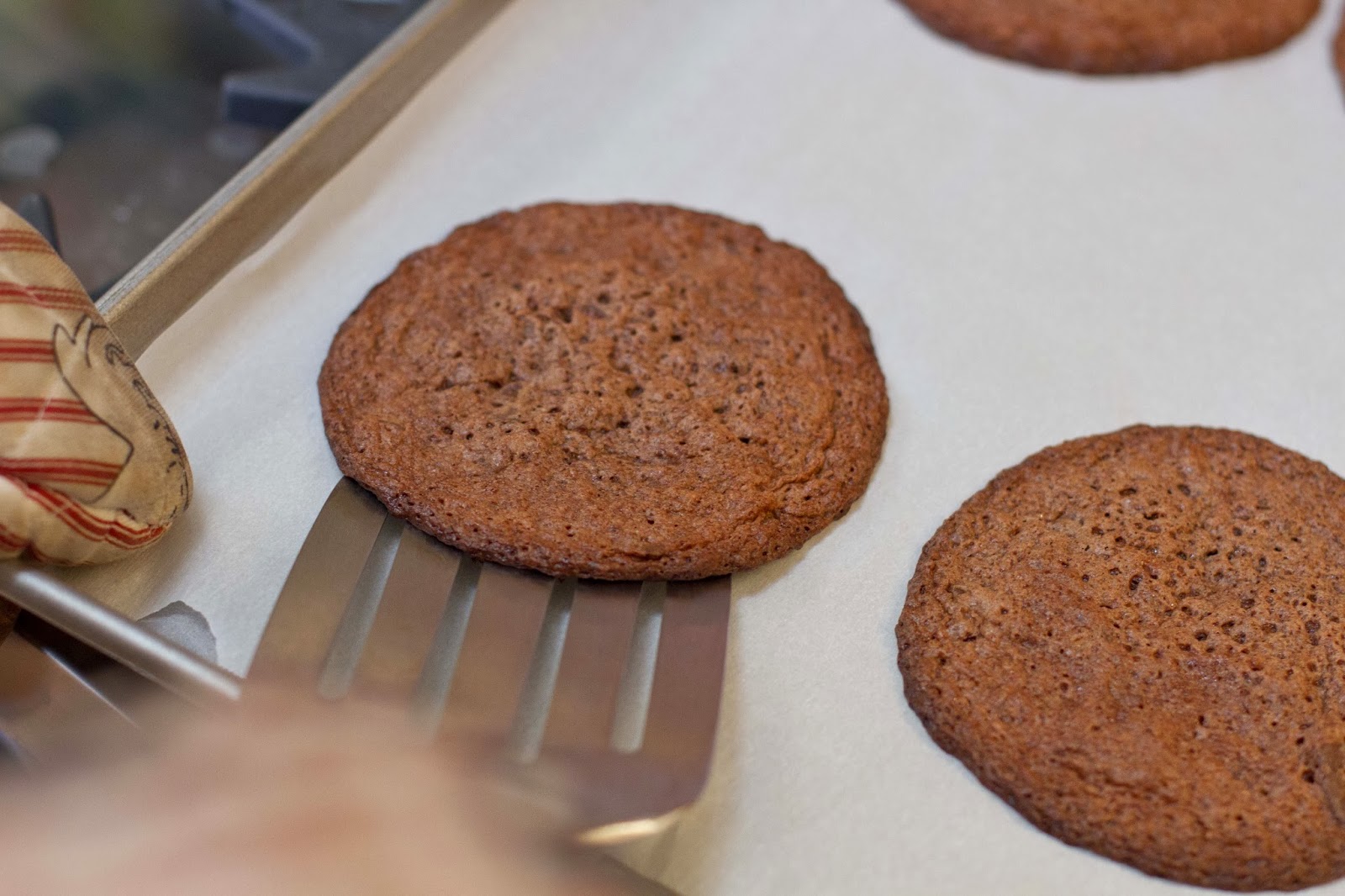 Bon Appétempt Double Chocolate Chip Cookies