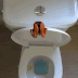 Animasi+Lucu+1.gif