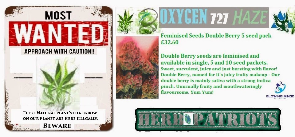  #Feminised Seeds