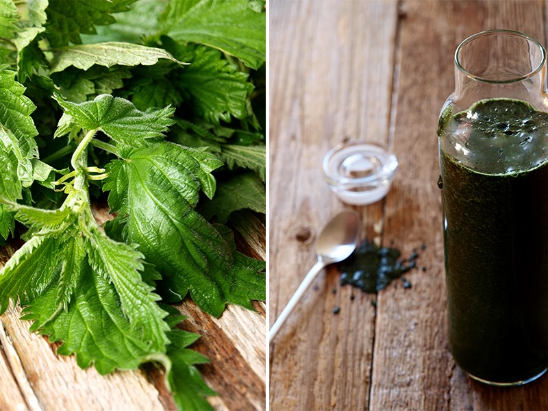 @Marina Aleksjutina photography #nettle, #nātres, #smoothie, #green smoothie