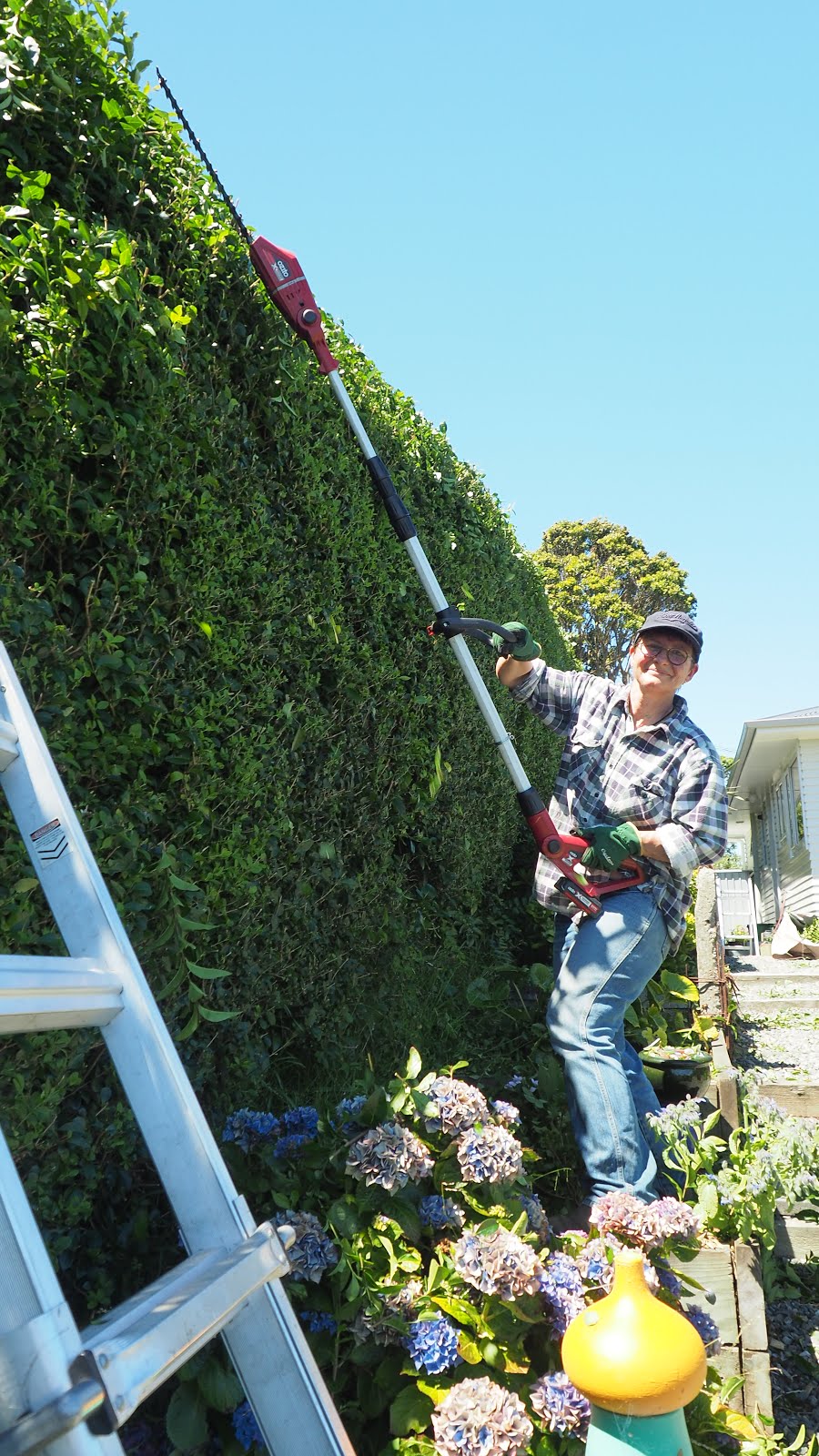 Hedge trim