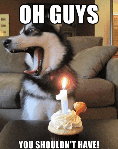 Oh%2BGuys%2B-%2BYou%2B%2BShouldn%2527t%2BHave%2521%2B%2528Surprise%2BBirthday%2BParty%2529.gif