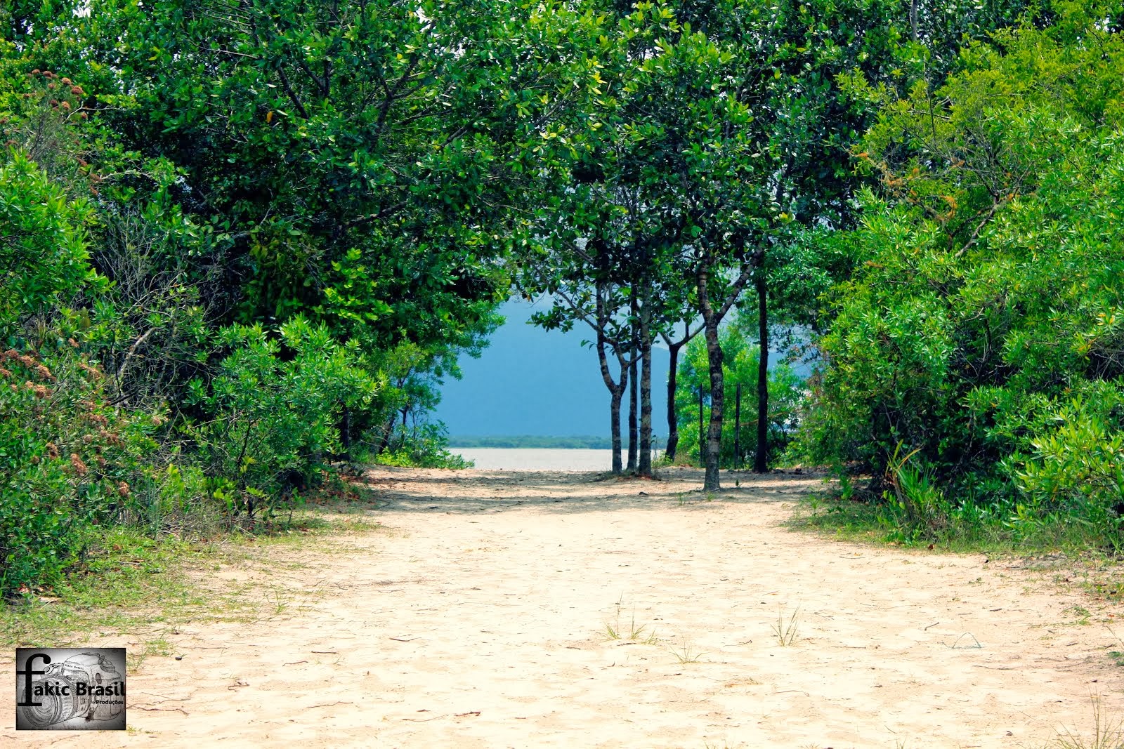 PARQUE ILHA DO CARDOSO