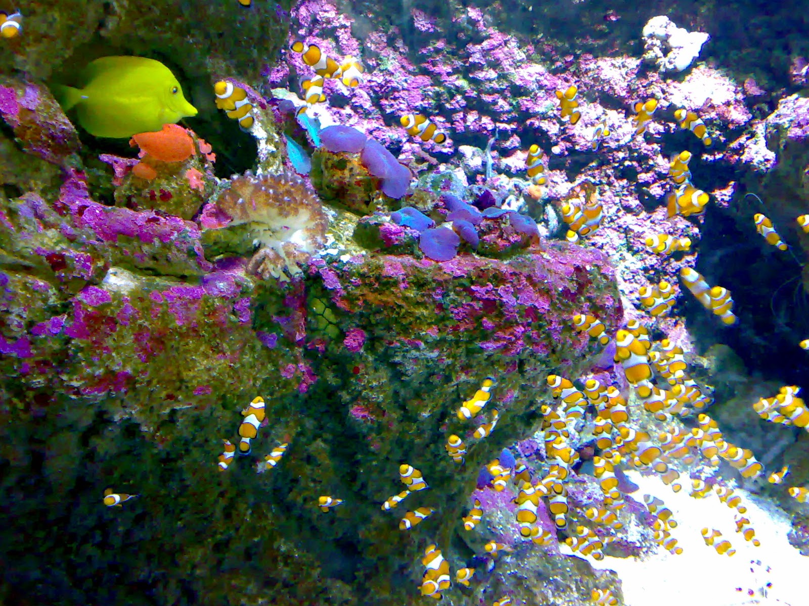 Aitor Delgado Basque Private Tour Guide Mondays in Museums XVII San