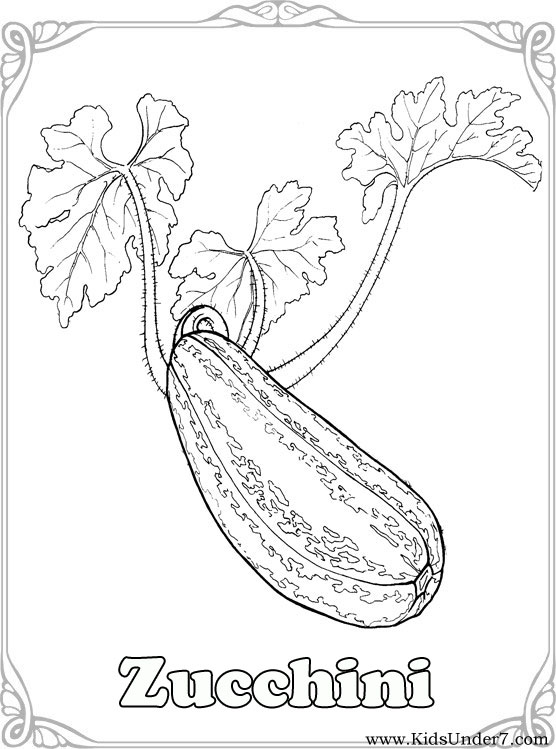 Zucchini Coloring Pages