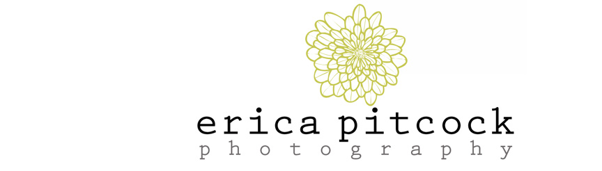 Erica Pitcock Photography | Columbus OH Newborn, Baby, Child, Family and Senior Photographer