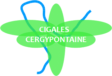 Blog du Club Cigales "Cergypontaine"