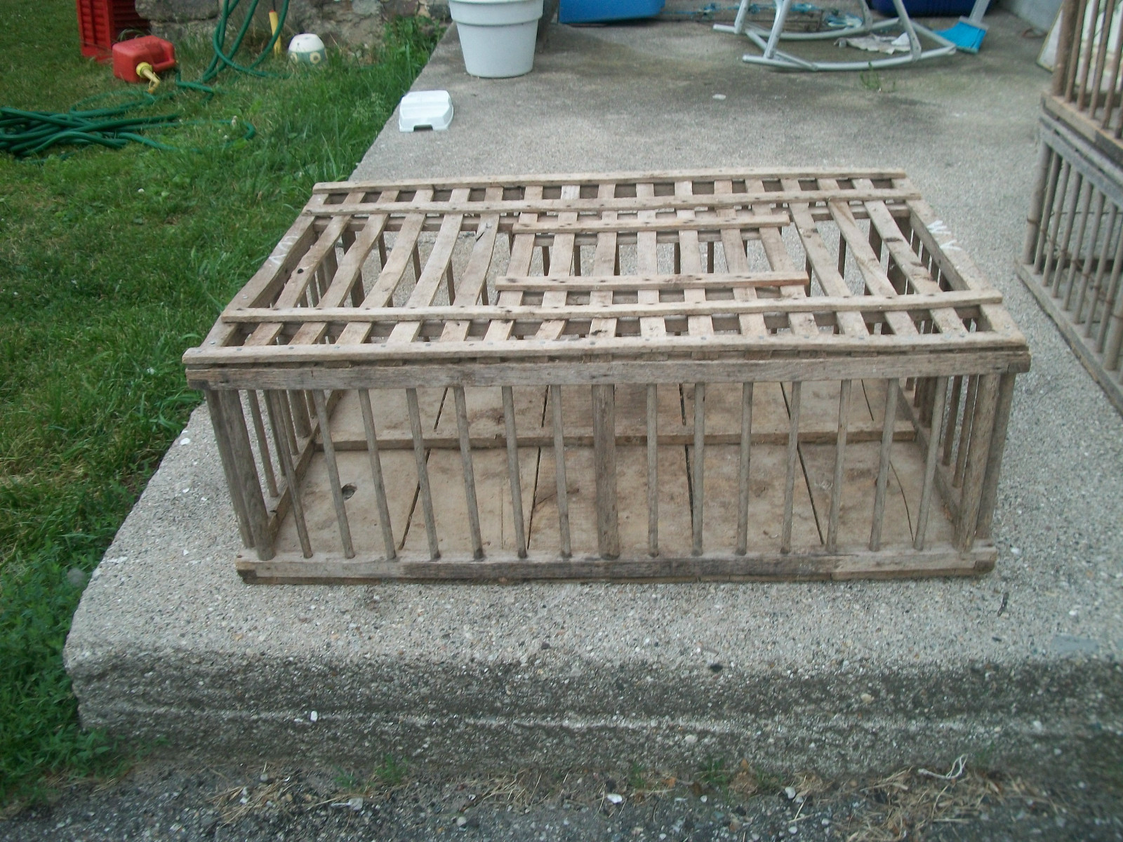 the Chicken Wrangler Transporting Poultry the Old Fashioned Way