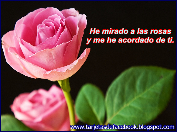 Resultado de imagen de images de flores con mensajes 