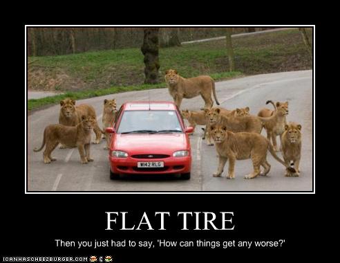 flat tire lions