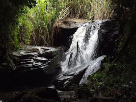 SABÁUDIA-PR