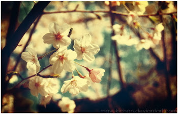 Spring , Primavera :D