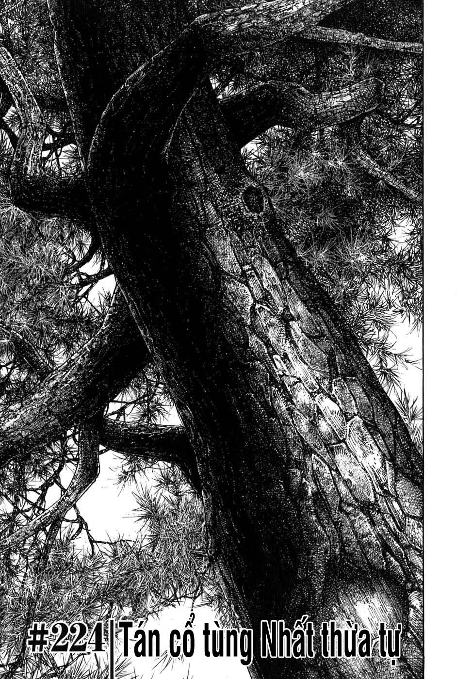 Vagabond - Lãng Khách Chap 224 - Truyen.Chap.VN
