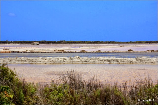 Ibiza - Ses Salinas