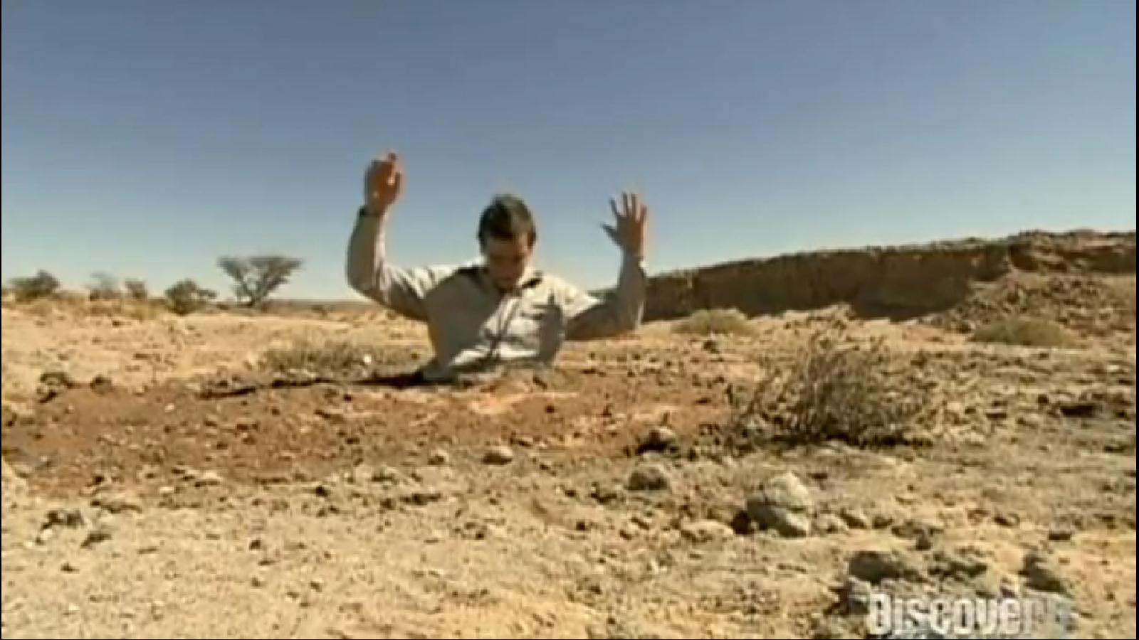 Flying Circus of Physics