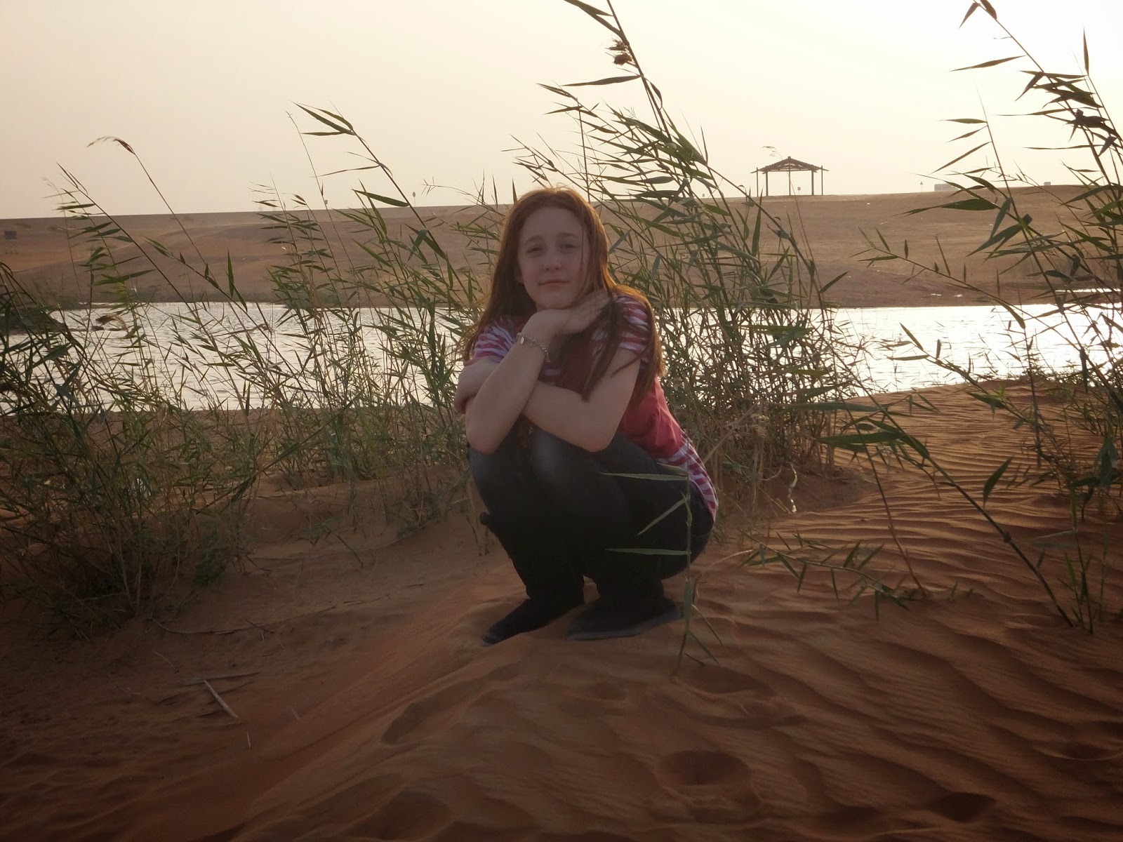 Adventures in Home Education Zakher Lake and Jebel Hafeet at Night