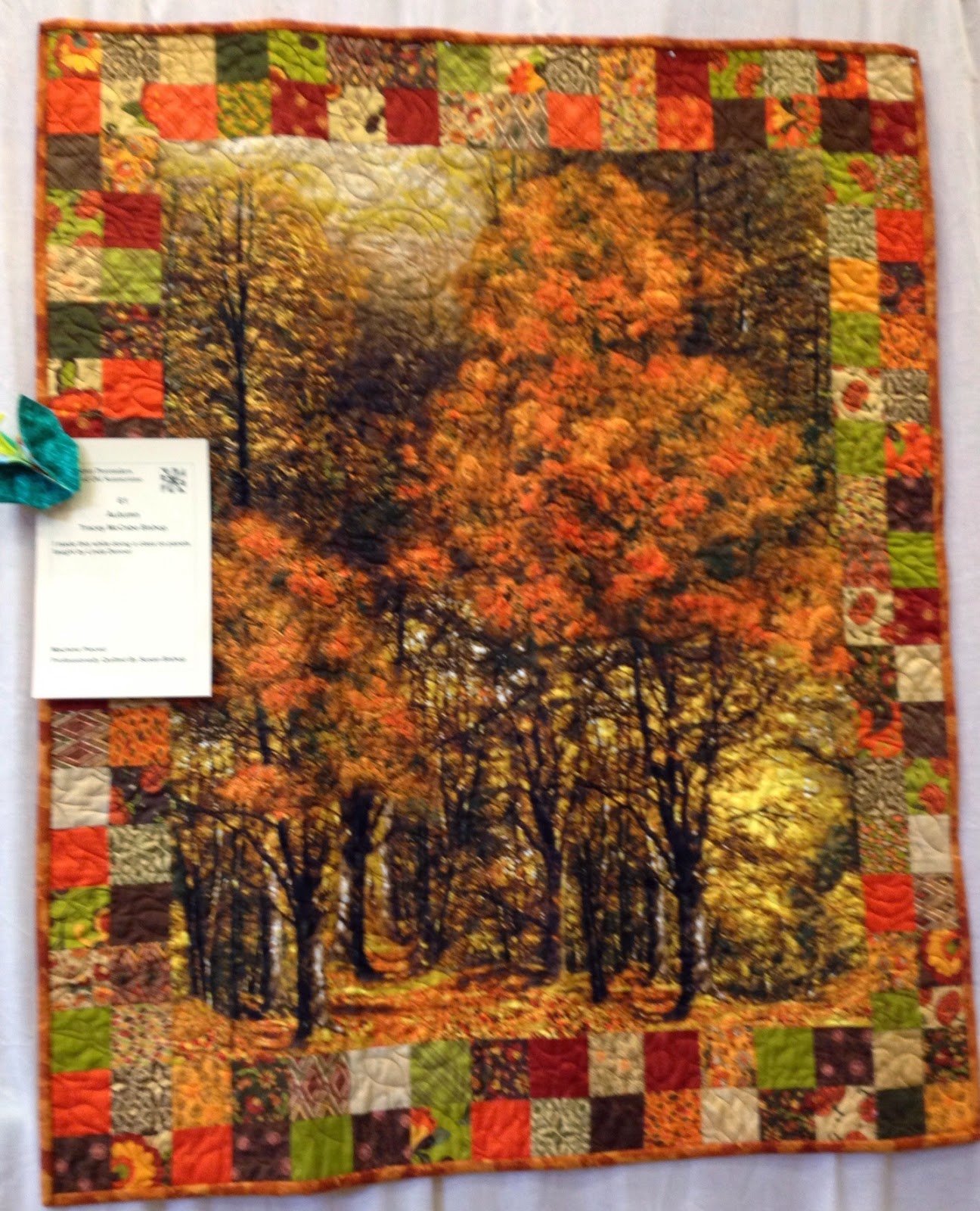 Adirondack Urban Hudson River Piecemakers 2014 Quilt Show