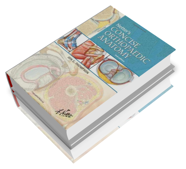 Netters Orthopaedics Netter Clinical Science