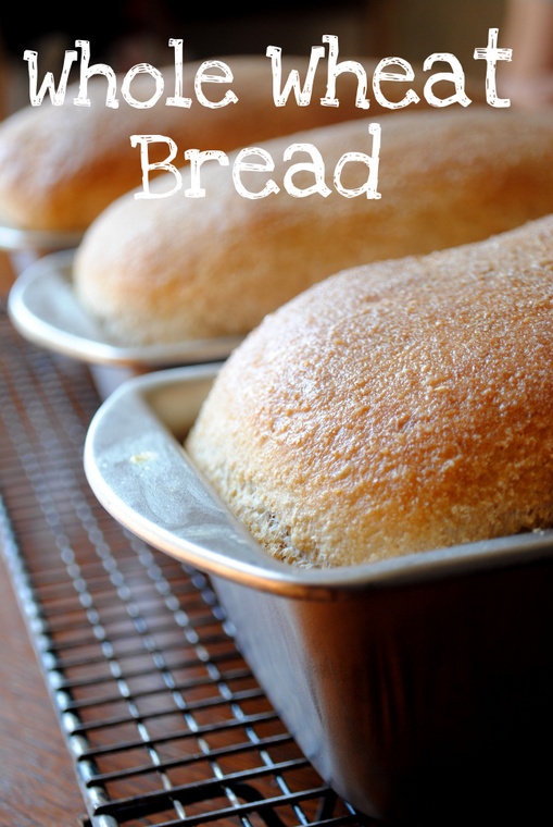 Cooke's Frontier Whole Wheat Bread {Large Batch}