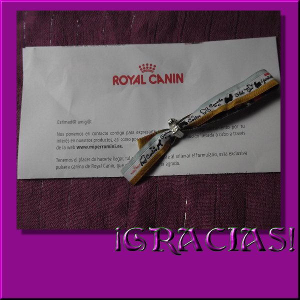 Royal Canin Canine Urinary S Small Dog Royal Canin Canine Urinary S Small Dog