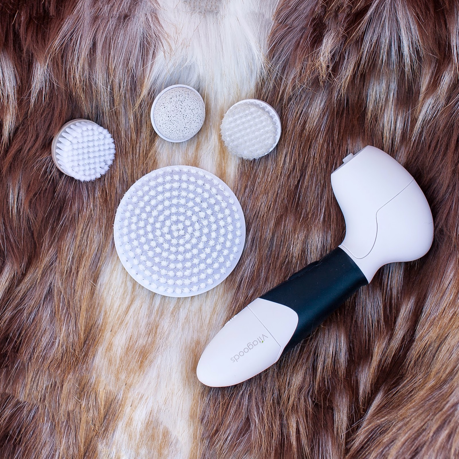 vanity FERAL CREATURE