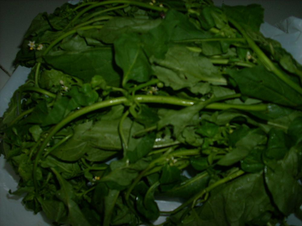 sayur meranti