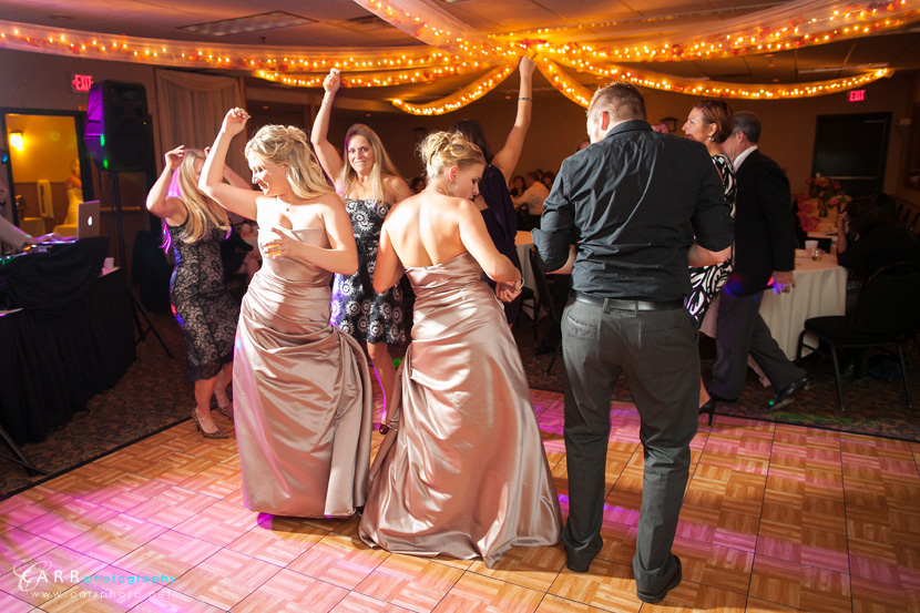 Carr Photography the Blog Megan & Brian Wedding Grand Superior