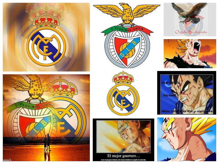 Orgullo