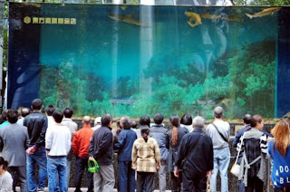 Shanghai-the-aquarium