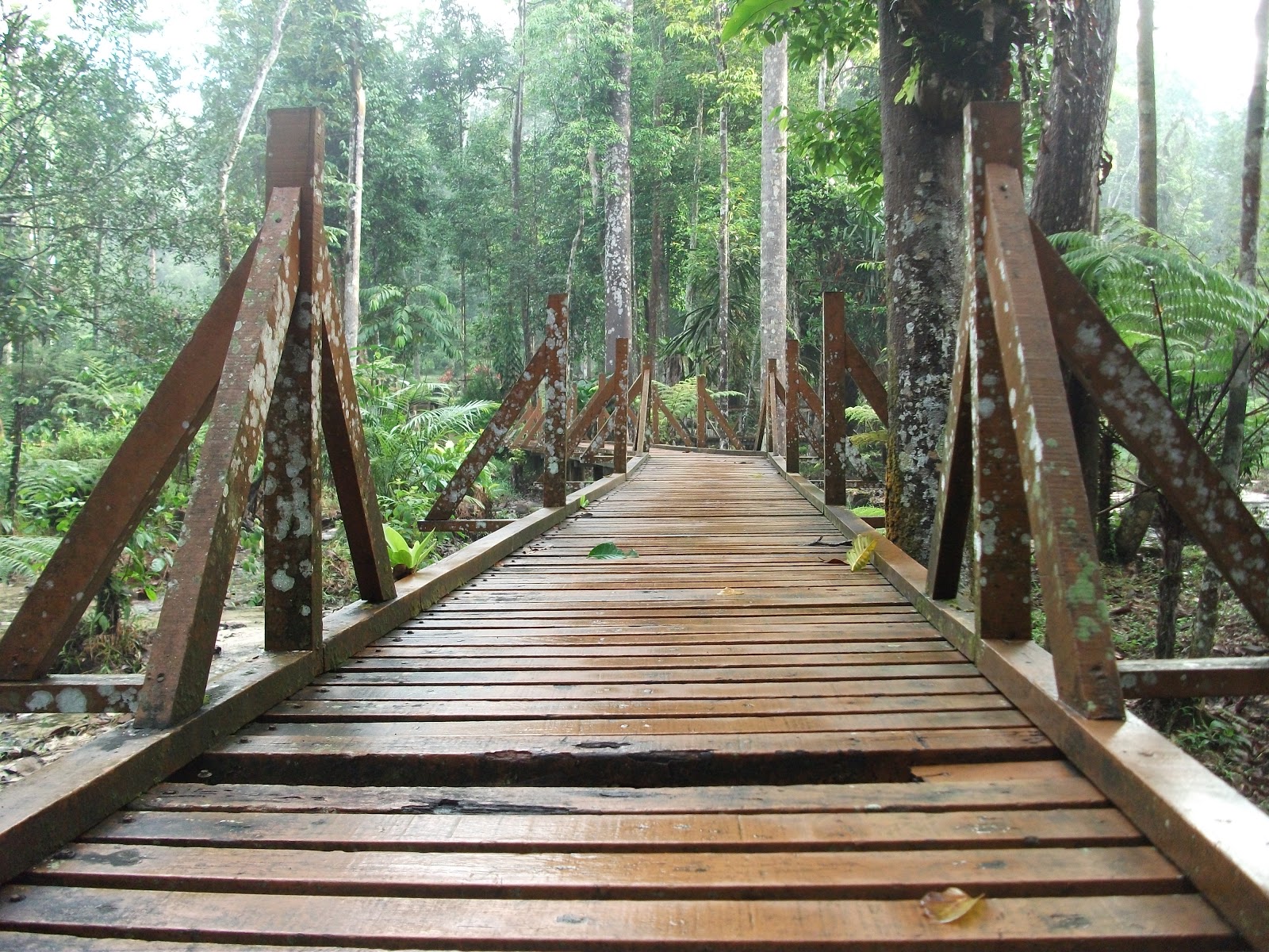 haPpY HaPpY A Ride in an Agricultural Park @ Shah Alam