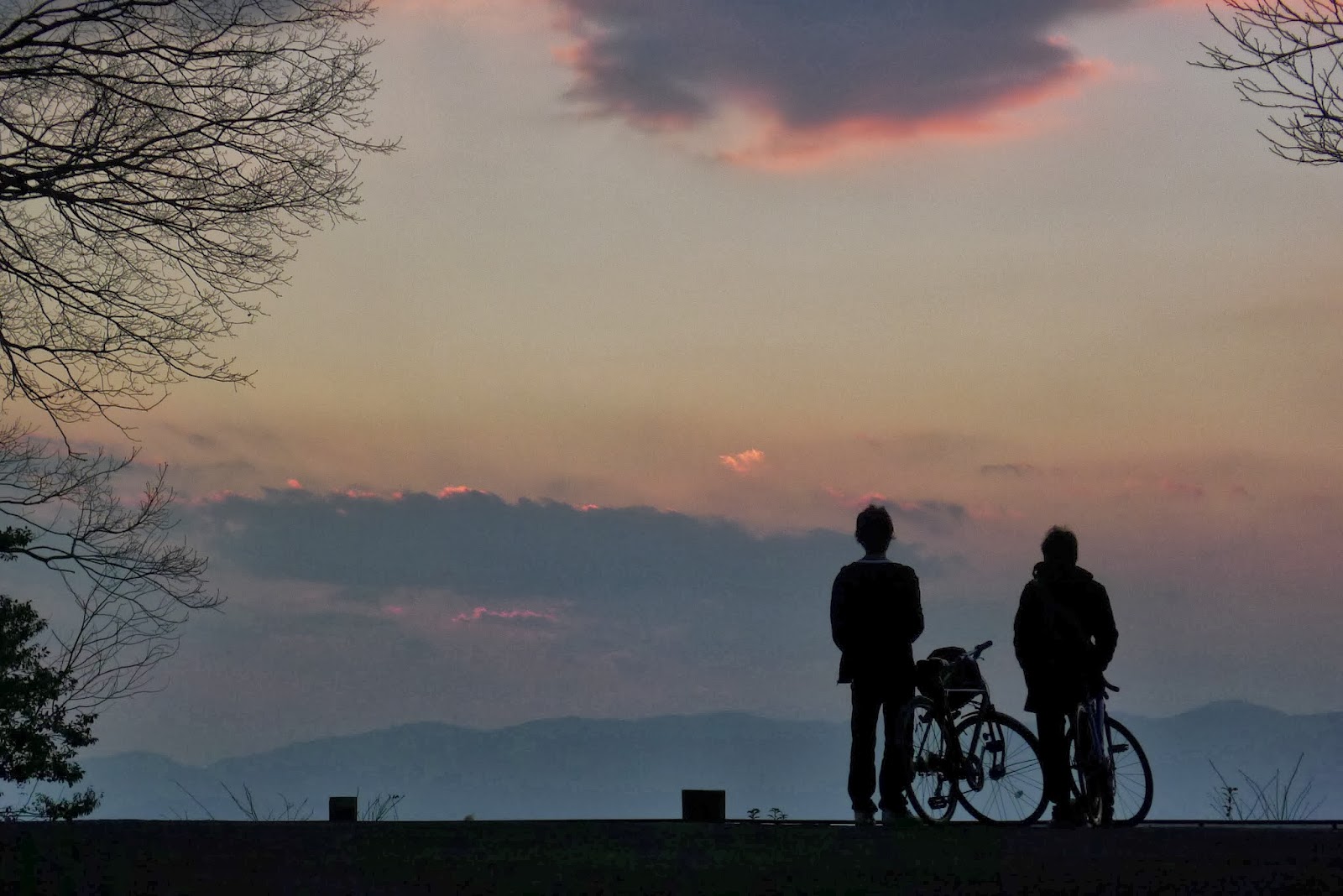 流浪在我居住的城市 京都 13年的最後一天